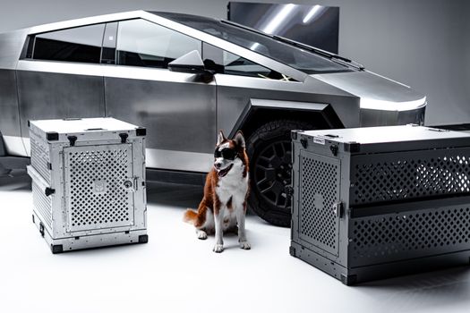 Aluminium autobench voor grote honden